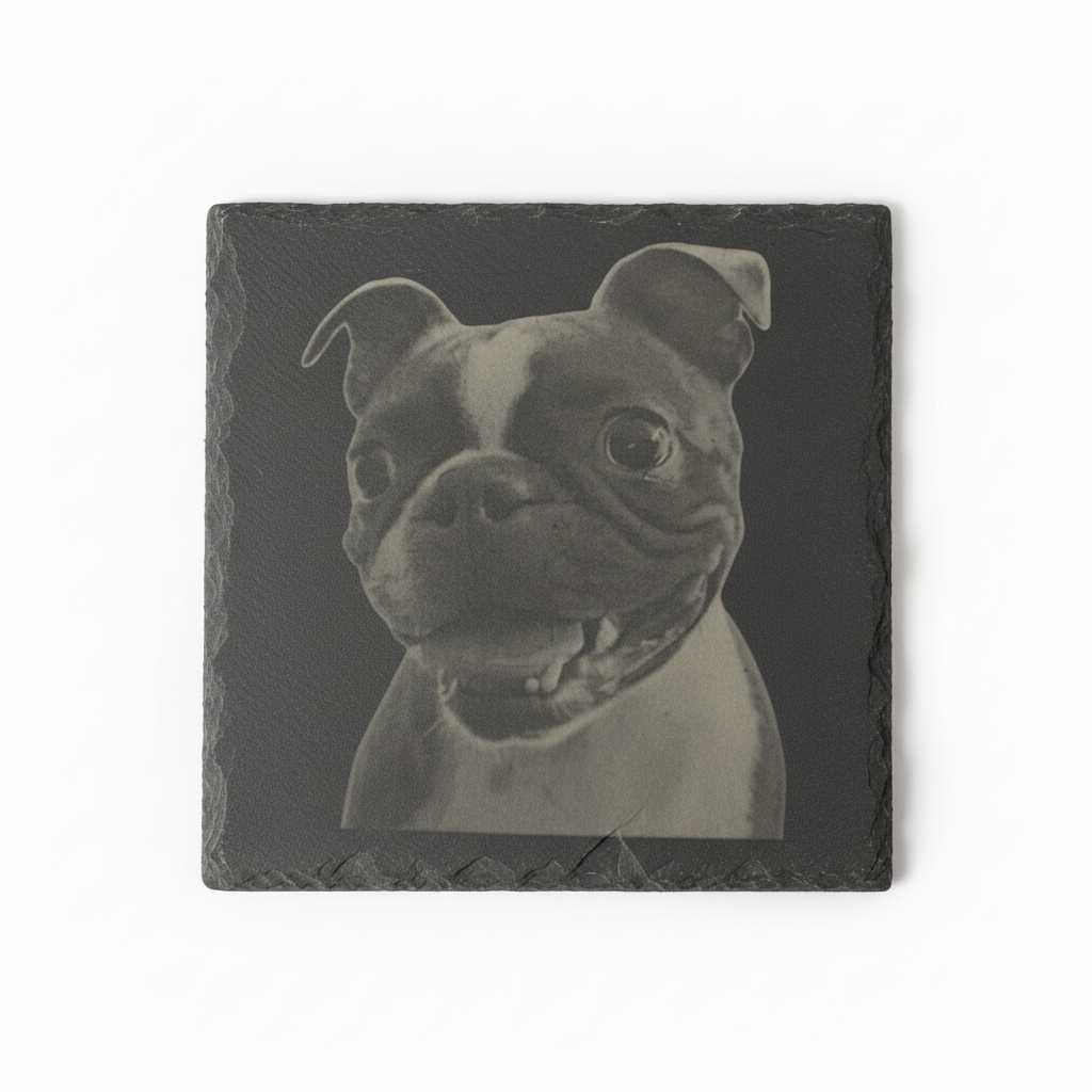 Boston Terrier coaster - larger fill to match pug