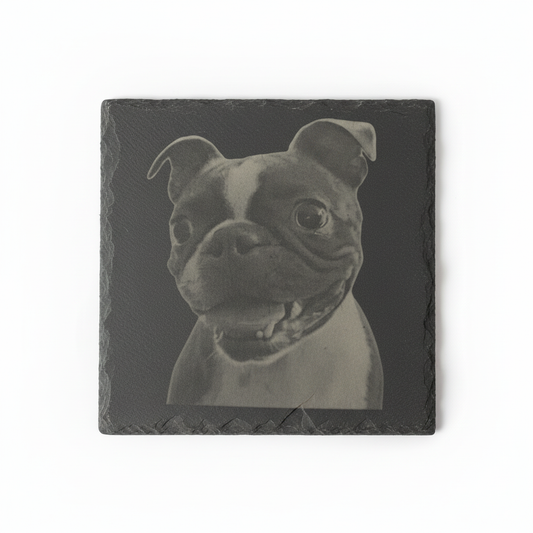 Boston Terrier coaster - larger fill to match pug
