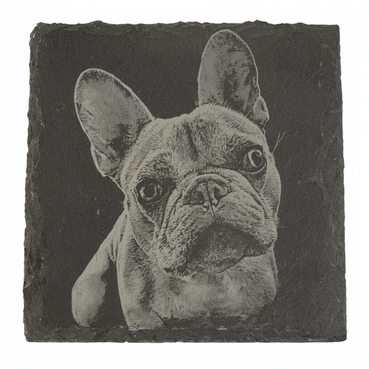 Custom engraved slate coaster with French Bulldog portrait, tight crop on white background